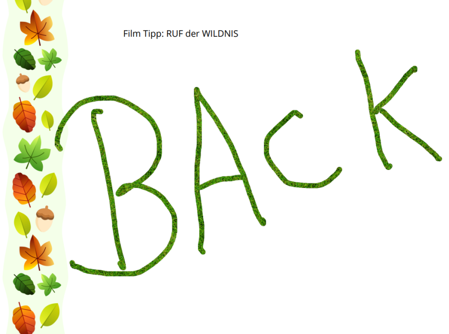 260112 Filmtipp Back (1)
