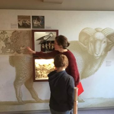 Besuch Stadtmuseum B-Klassen 22.11.2022 (5)