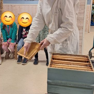 Bienenprojekt KG 2026 (2)