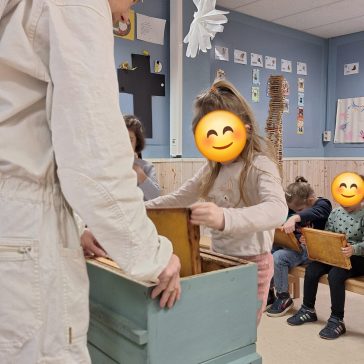 Bienenprojekt KG 2026 (3)