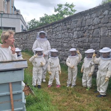 Bienenprojekt KG 2026 (6)