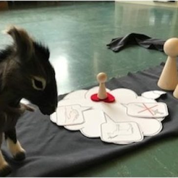 Bilder Palmsonntag 3