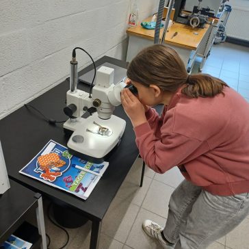 cff597da-53fd-4de6-b3e3-6977f9545d5b