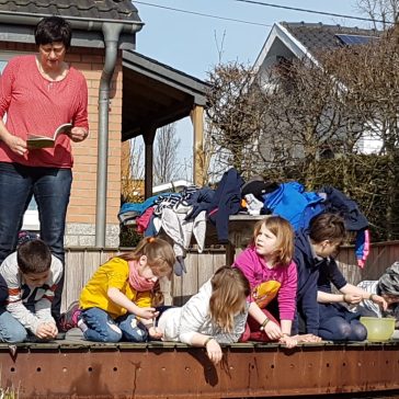 Frösche Béatrice B (3)