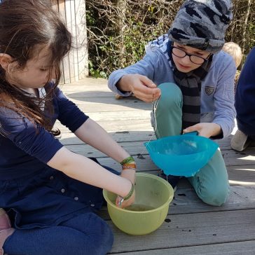 Frösche Béatrice B (4)