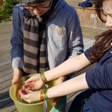 Frösche Béatrice B (5)