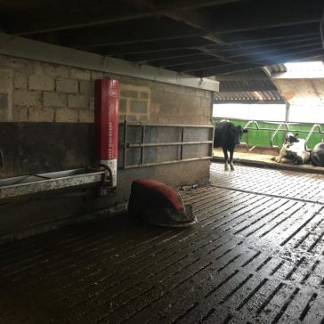 Hof Dobbelstein Cklassen (12)