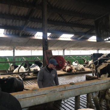 Hof Dobbelstein Cklassen (6)