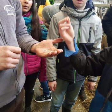 Hof Dobbelstein Cklassen (7)