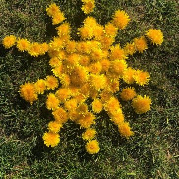 Impulse Religion (11)