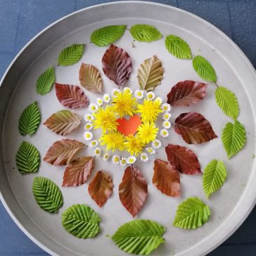 Impulse Religion (15)