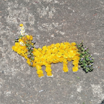 Impulse Religion (3)