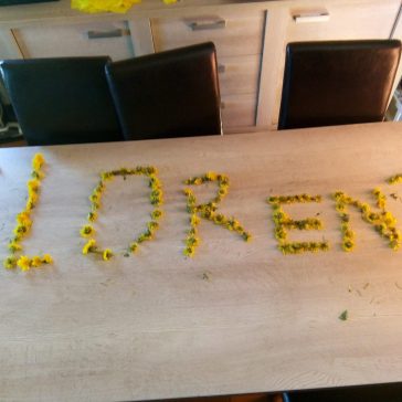 Löwenzahn Florent