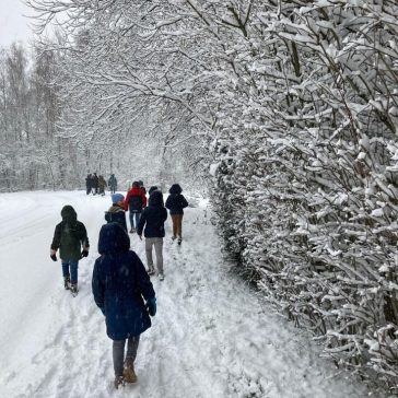 MicrosoftTeams-image (9)