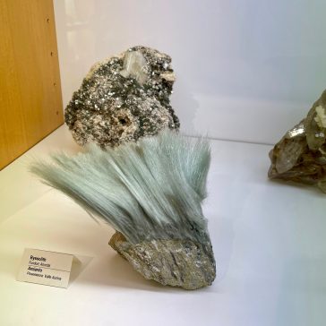 Schneeschule 21.01.2023 (2)