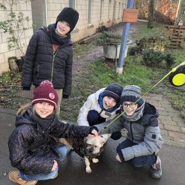 Spendenaktion Tierheim 2023 (2)