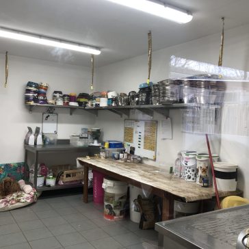 Spendenaktion Tierheim 2023 (3)