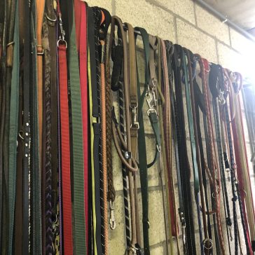 Spendenaktion Tierheim 2023 (4)