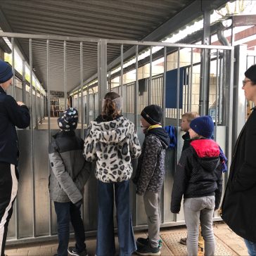 Tierheim Mai 2023 (1)