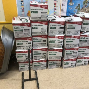 Tierheim Mai 2023 (4)