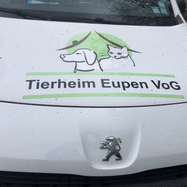 Tierheim Mai 2023 (6)