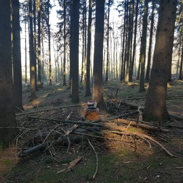 Waldtag KG Giraffen 01.03 (4)