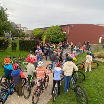 WhatsApp Image 2025-09-26 at 12.14.14 (1)