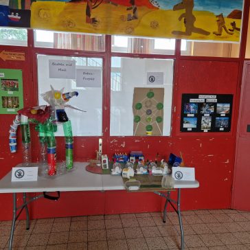 Zebra Basteln mit Müll (8)